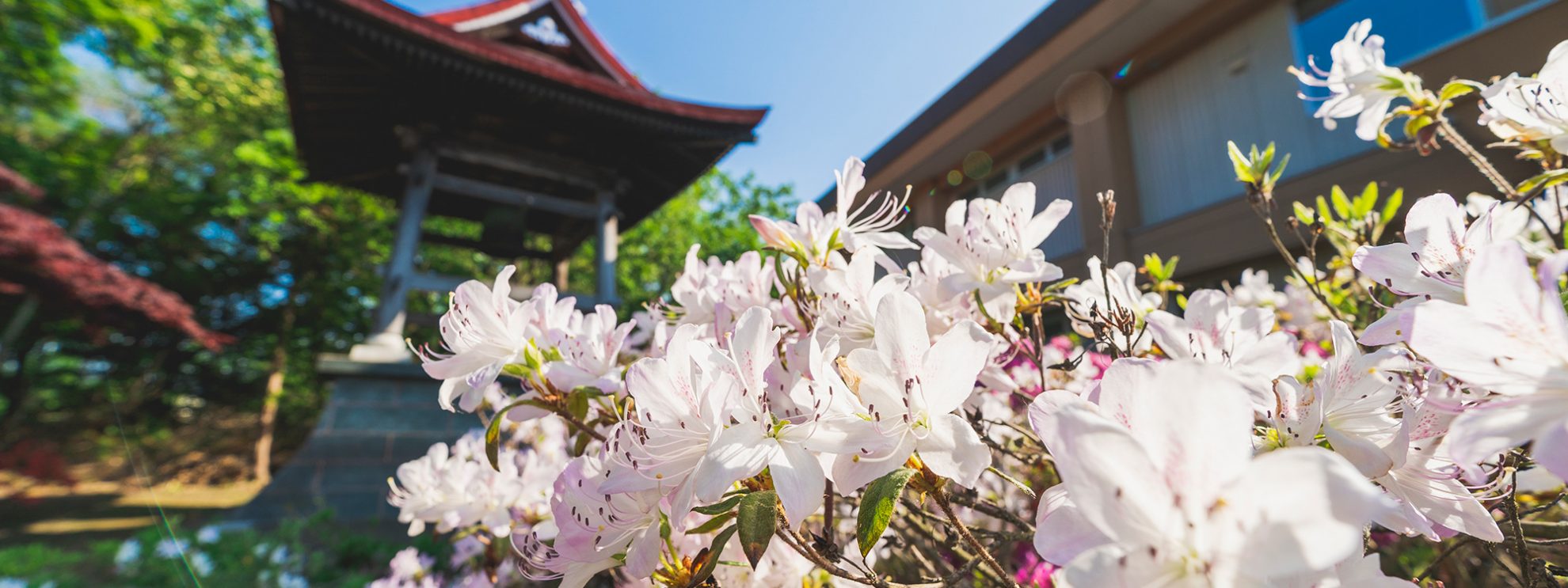 南豪寺 浄土真宗本願寺派｜なんごうてら 北海道・十勝・帯広