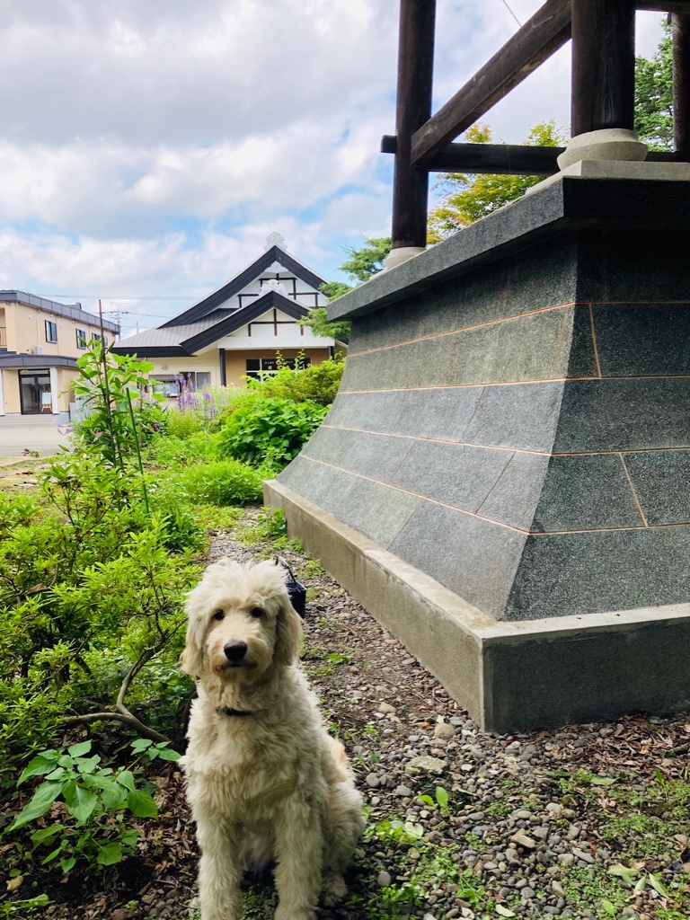 十勝帯広のお寺2020年南豪寺　報恩講法要　日時と内容